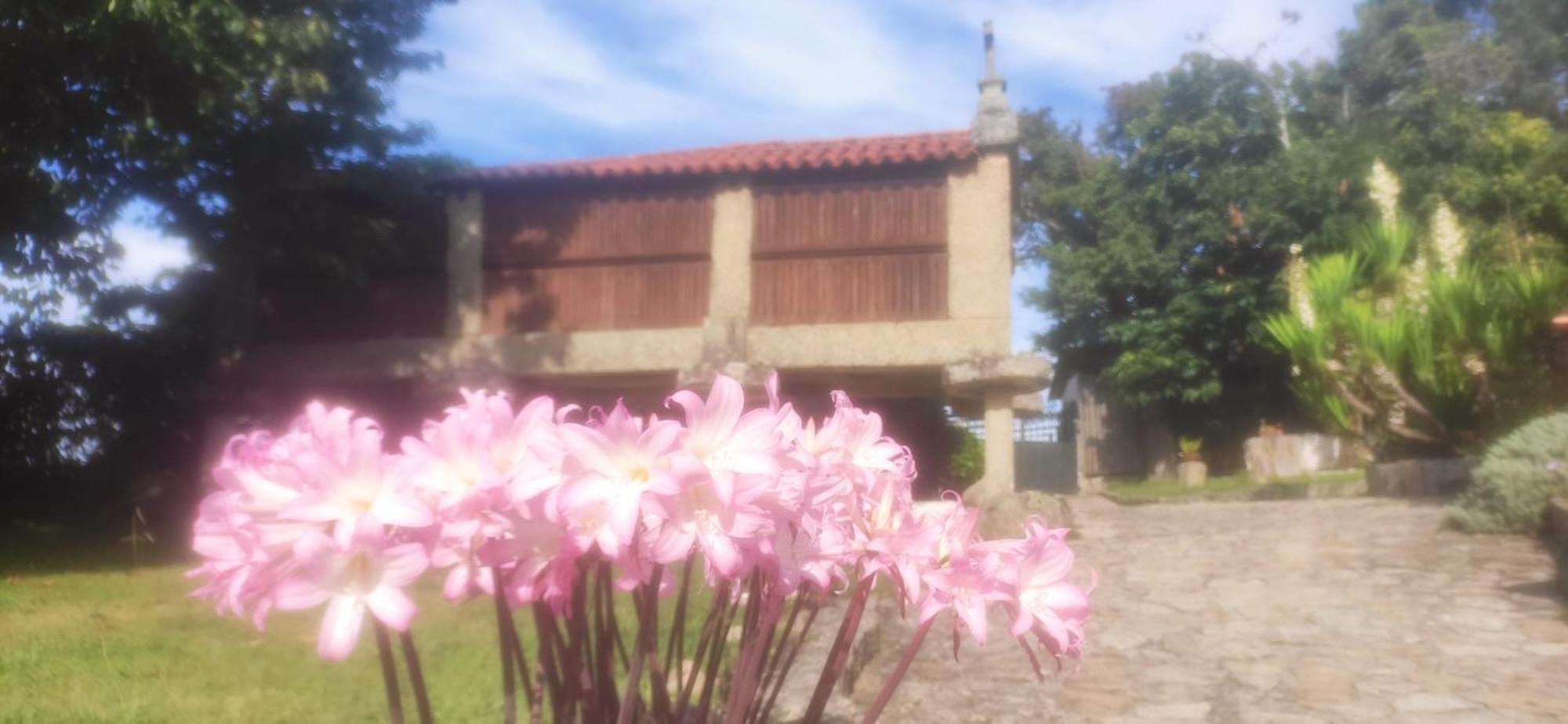 Casal De Folgueiras Rias Baixas Vendégház Meis Kültér fotó